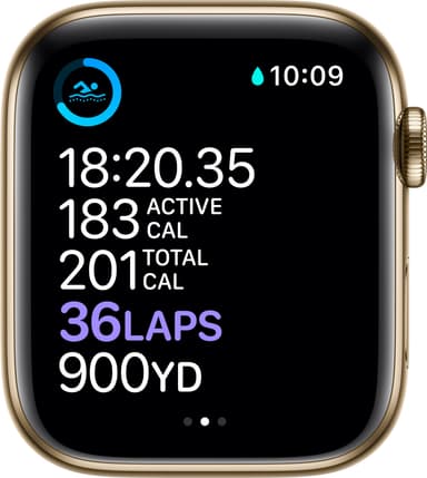 Apple Watch Series 6 44mm GPS+4G LTE (gold steel/guld Mil. loop)