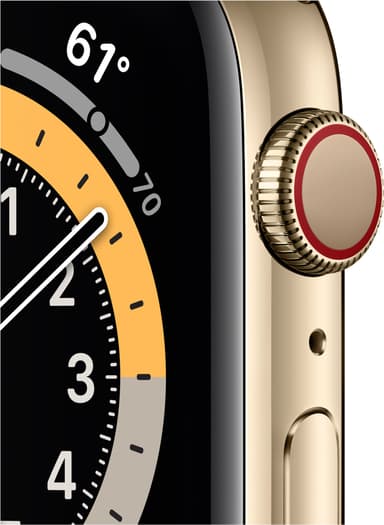 Apple Watch Series 6 44mm GPS+4G LTE (gold steel/guld Mil. loop)