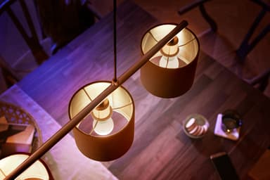 Philips Hue White LED pære 5W E14