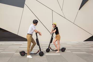 Ninebot by Segway KickScooter E45D