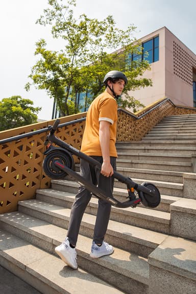 Ninebot by Segway KickScooter E25D
