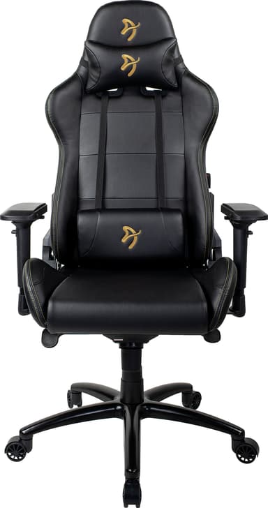 Black/gold