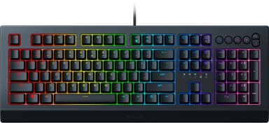 Razer Cynosa V2 gaming tastatur
