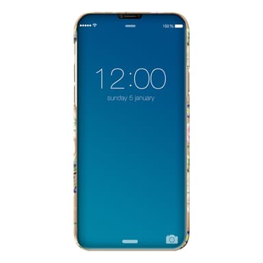iDeal cover til iPhone X (champagne birds)
