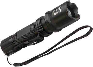LED Lygte 250 lm