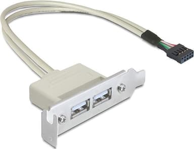 DeLOCK intern kabel til USB 2.0, PCI-dækplade lavprofil, 1xIDC10 han