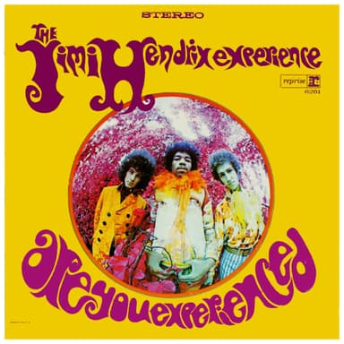 The Jimi Hendrix Experience ‎– Are You Experienced (LP)