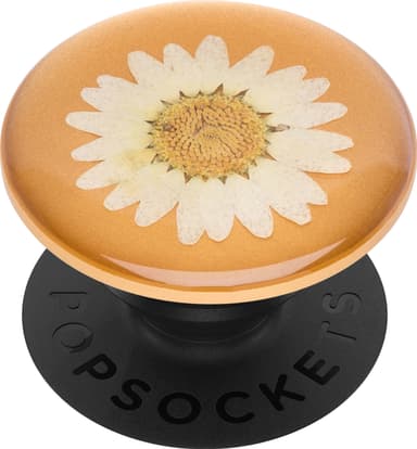 Popsockets Premium greb t. mobile enheder (pressed flower white daisy)