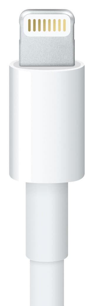 Apple Lightning til 30-bens adapter (20 cm)