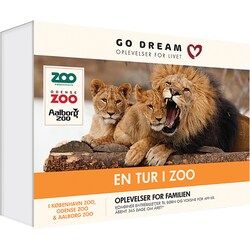 Go Dream - En tur i Zoo