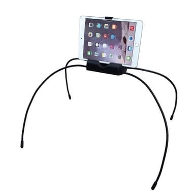 Edderkop Holder Mobiltelefon