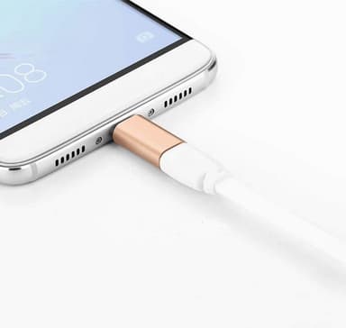 USB-C (han) til Lightning (hun) adapter - guld