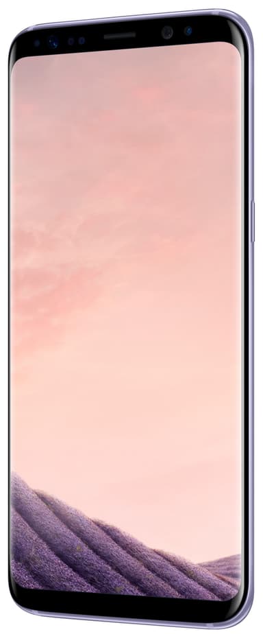 Samsung Galaxy S8 smartphone (grå)