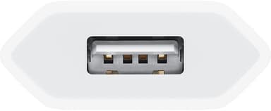Apple 5W USB-adapter (hvid)