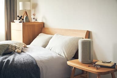 Sony SRS-RA3000 højttaler (lysegrå)