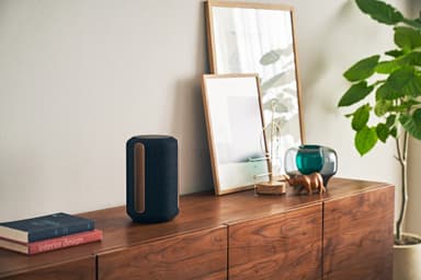 Sony SRS-RA3000 højttaler (sort)