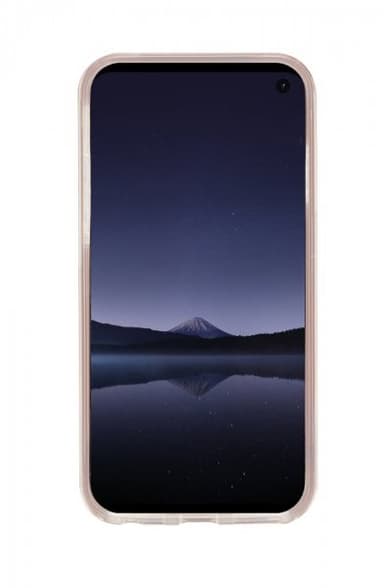 Richmond & Finch Samsung Galaxy S10E Cover Pink Marble