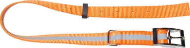 Minifinder hundehalsbånd (orange)