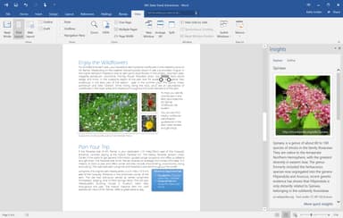 Microsoft 365 Personal (15 Month) - PC Windows,Mac OSX