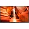 Samsung 55" smart digital signage skærm OMN55N