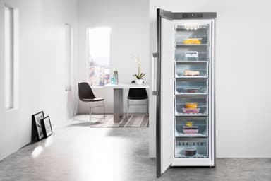 Whirlpool fryser UW8F2YXBIF2 (grå)
