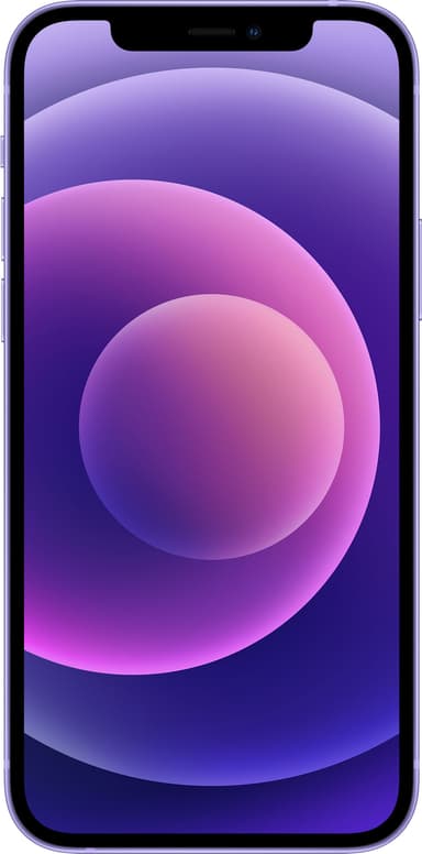 iPhone 12 - 5G smartphone 256 GB (purple)