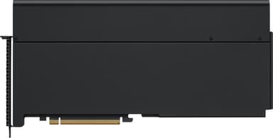 Apple Afterburner Card