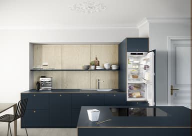 Liebherr køleskab IRBd412020001 indbygget