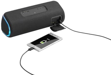 Sony bærbar trådløs partyhøjttaler SRS-XB41 (sort)