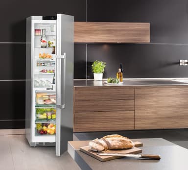 Liebherr køleskab KBES435020 - stål TÆNK TESTVINDER