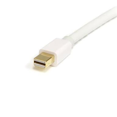 StarTech.com 2 m Mini DisplayPort/DisplayPort, 2 m, mini DisplayPort, DisplayPort, Hvid, Guld, Hanstik/Hanstik