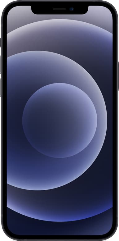 iPhone 12 - 5G smartphone 256 GB (sort)