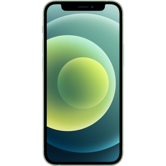iPhone 12 mini - 5G smartphone 64 GB (grøn)