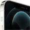 iPhone 12 Pro - 5G smartphone 256GB (sølv)