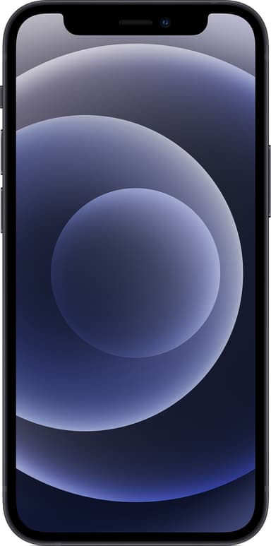 iPhone 12 mini - 5G smartphone 256 GB (sort)