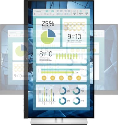 HP EliteDisplay E24 G4 23,8" skærm (sort)