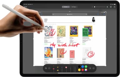 iPad Pro 12.9" 256 GB WiFi + 4G/LTE (space grey)