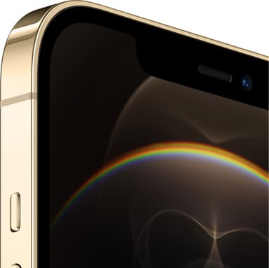 iPhone 12 Pro Max - 5G smartphone 512GB (guld)