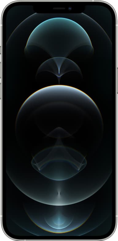 iPhone 12 Pro Max - 5G smartphone 256GB (sølv)