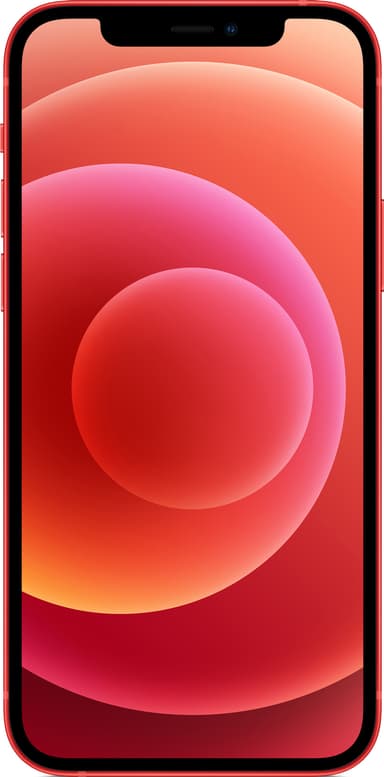 iPhone 12 - 5G smartphone 256 GB (PRODUCT)RED