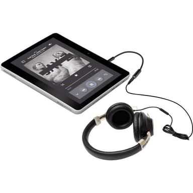 SpeaKa Professional SP-7870156 Audio Adapter 1 stk