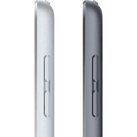 iPad 10,2" (2021) 256 GB WiFi (space gray)