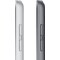 iPad 10,2" (2021) 64 GB 4G LTE (sølv)
