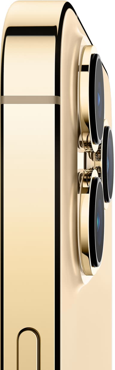 iPhone 13 Pro – 5G smartphone 1TB Gold