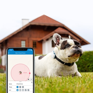 Tractive GPS DOG 4 hundetracker og aktivitetstracker Sne Elgiganten
