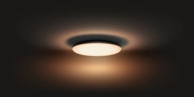 Philips Hue Cher loftslampe (sort)