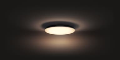 Philips Hue Cher loftslampe (sort)