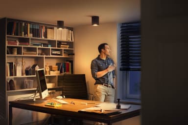 Philips Hue Pillar spotlys (sort)