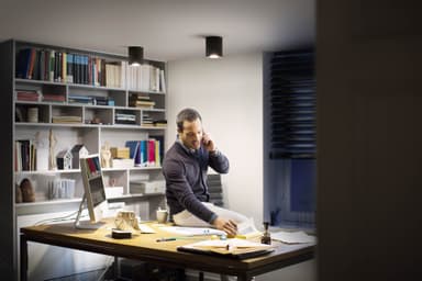 Philips Hue Pillar spotlys (sort)