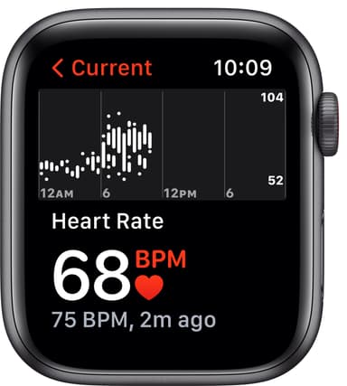 Apple Watch SE 44mm GPS+4G LTE (grey alu/sort sportsrem)